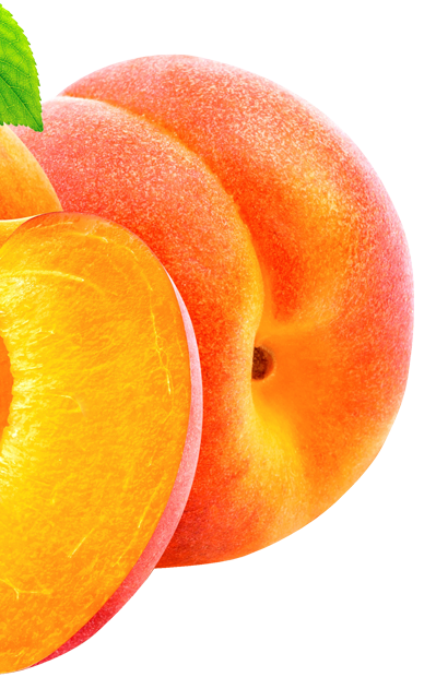 Abrikos-apricot-venstre-frugt-oeverst.png