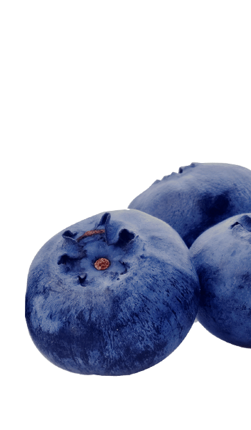 Blueberry-blaabaer-hoejre-frugt-nederst.png