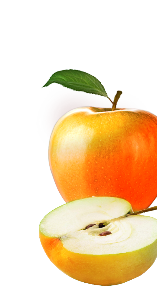 Apple-roed-red-aeble-hoejre-frugt-nederst.png